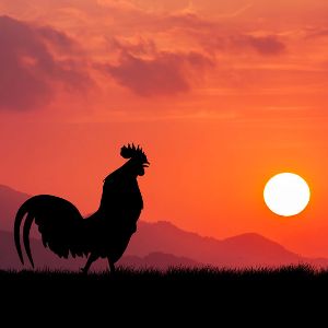 L'heure d'été plutôt que l'heure d'hiver