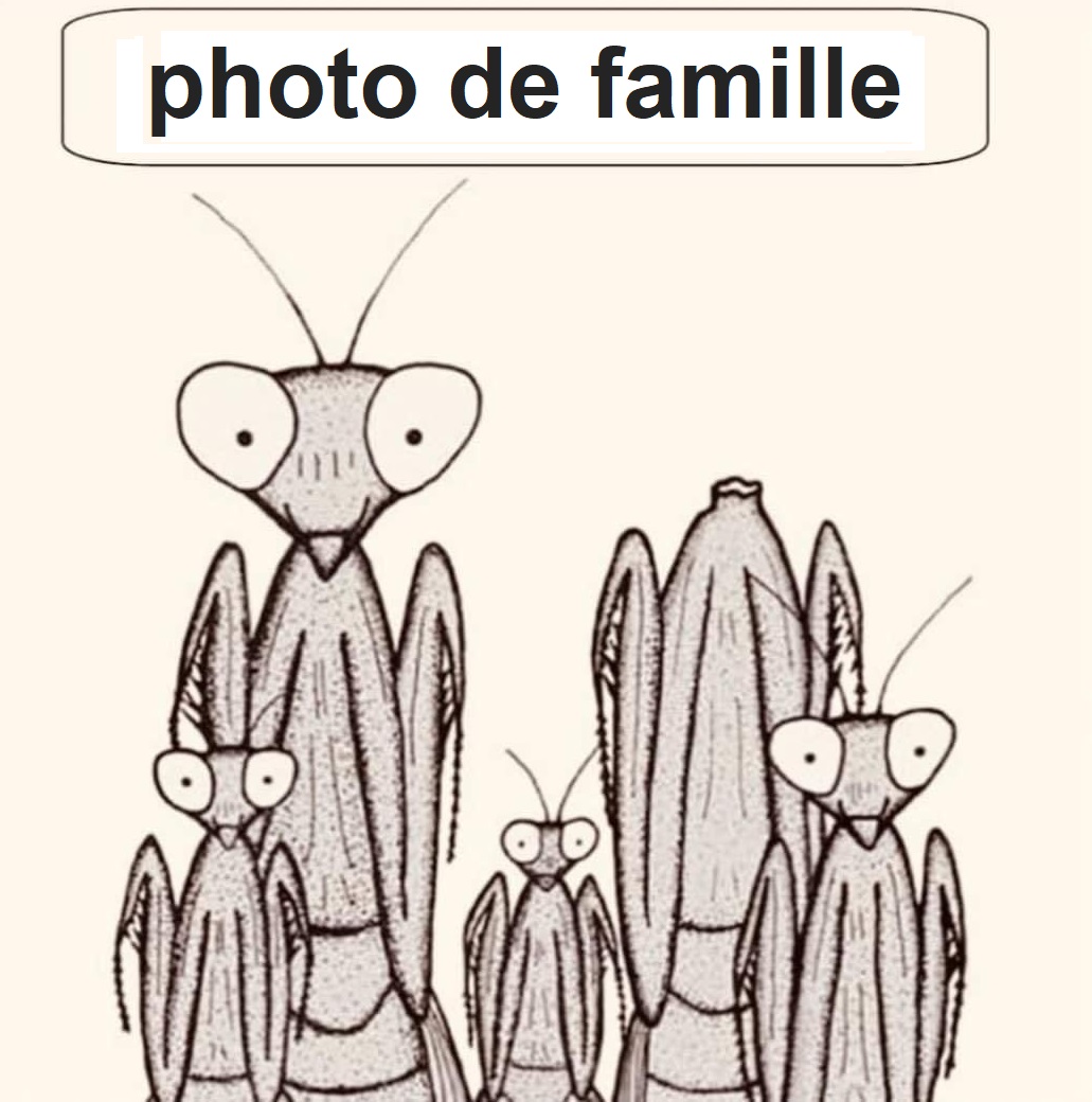 Mante Religieuse photo de famille